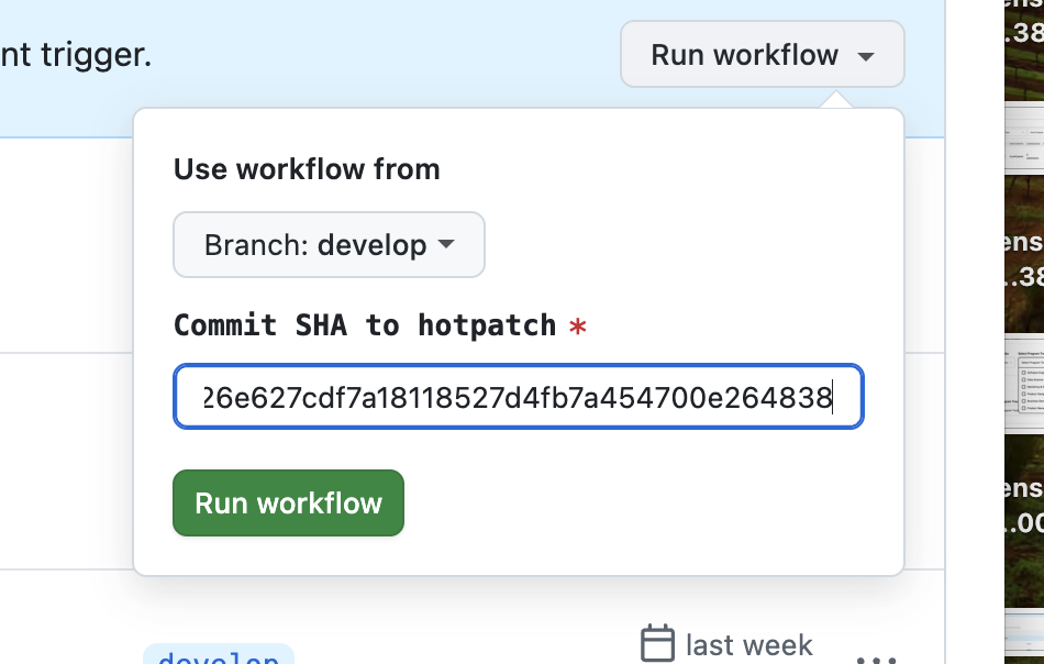 hotpatch-release-workflow-run